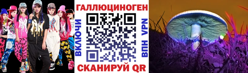 купить цена Клинцы гидра tor Псилоцибиновые грибы Psilocybe